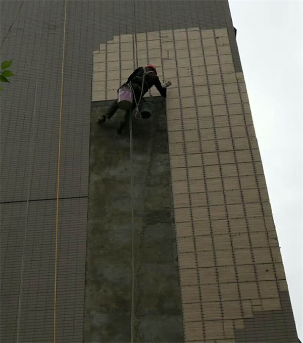生命科技园外墙修补案例