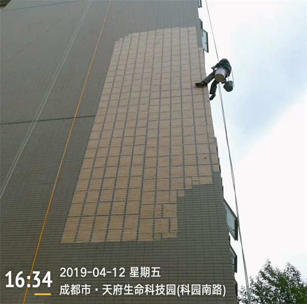 生命科技园外墙修补案例